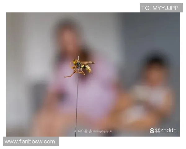 黄蜂生态与行为研究：揭示其在自然界中的角色与影响